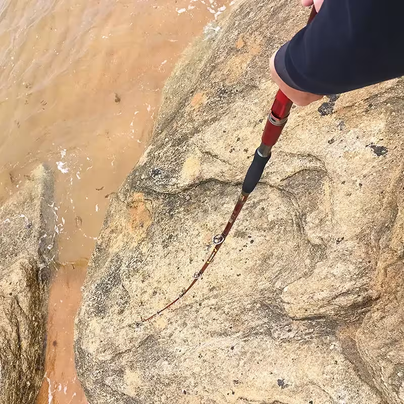 canne à pêche portable