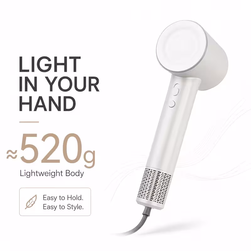 Ionic hair dryer