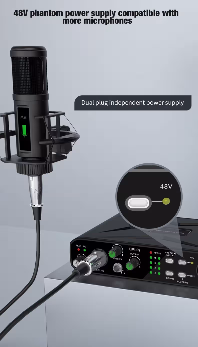 Audio interface with microphone