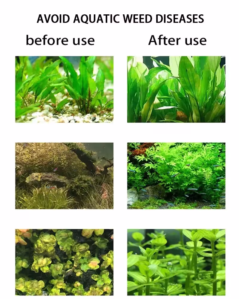 akvariumo CO2 generatoriaus sistema