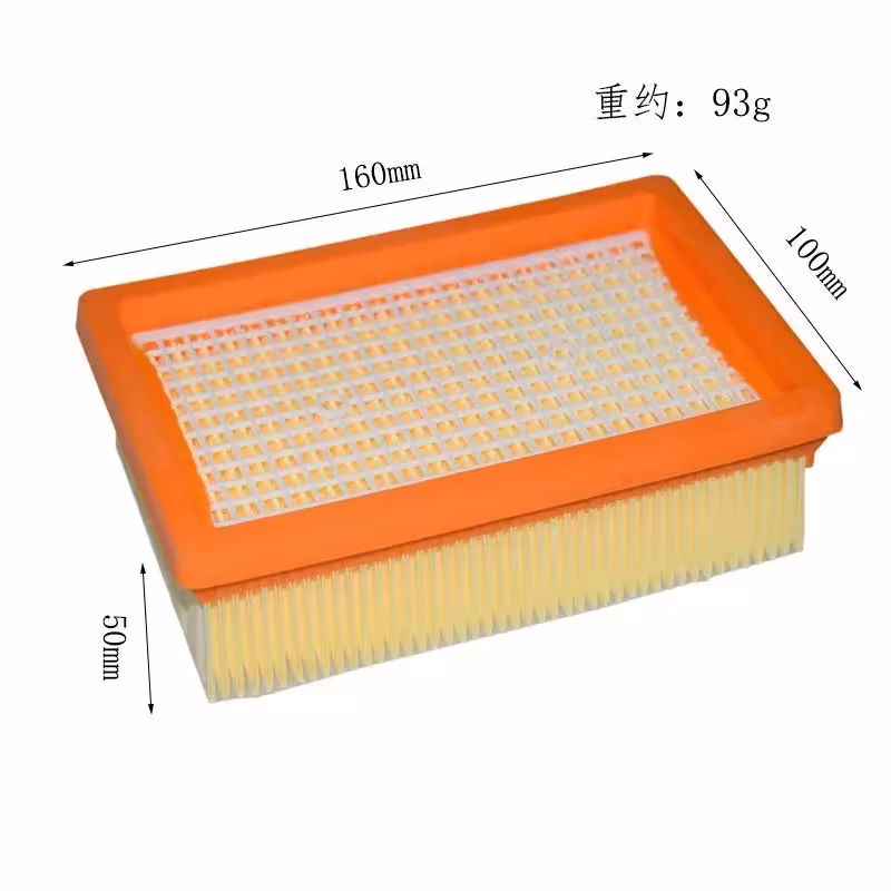 Filtro HEPA para Karcher MV4 MV5 MV6 WD4 WD5 WD6