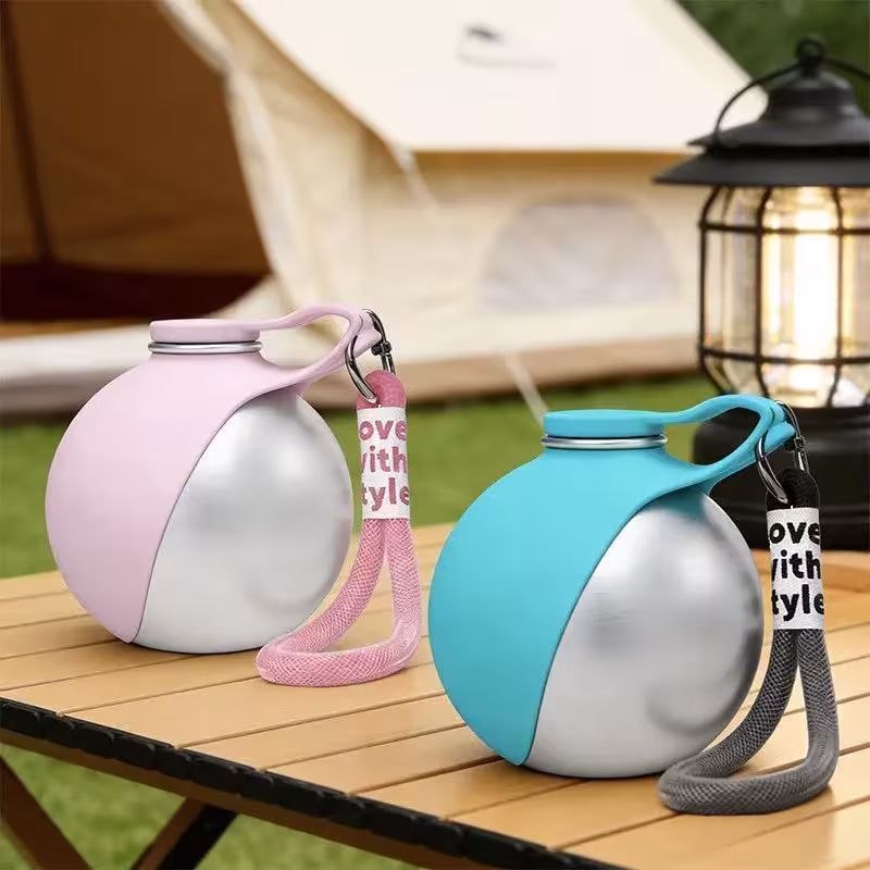 Bol en silicone pliable en acier inoxydable pour l'eau des chiens et des chats à l'extérieur