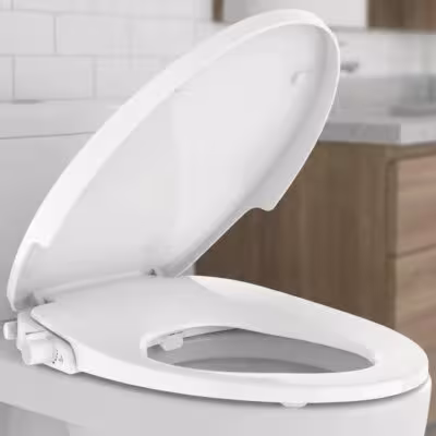 Elongated Bidet Toilet Seat with Dual Self-Cleaning Nozzles, Non-Electric Adjustable Spray Pressure and Position Slow-Close Lid 1