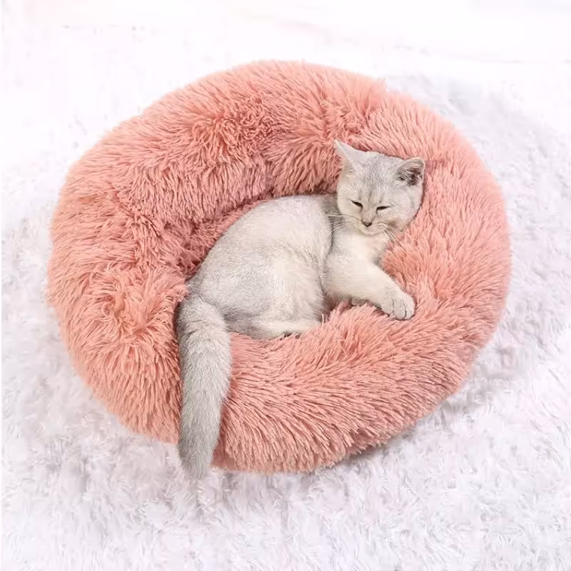 cama para mascotas