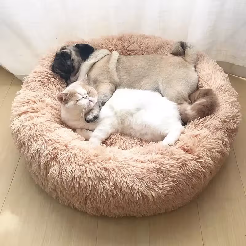 cama para mascotas