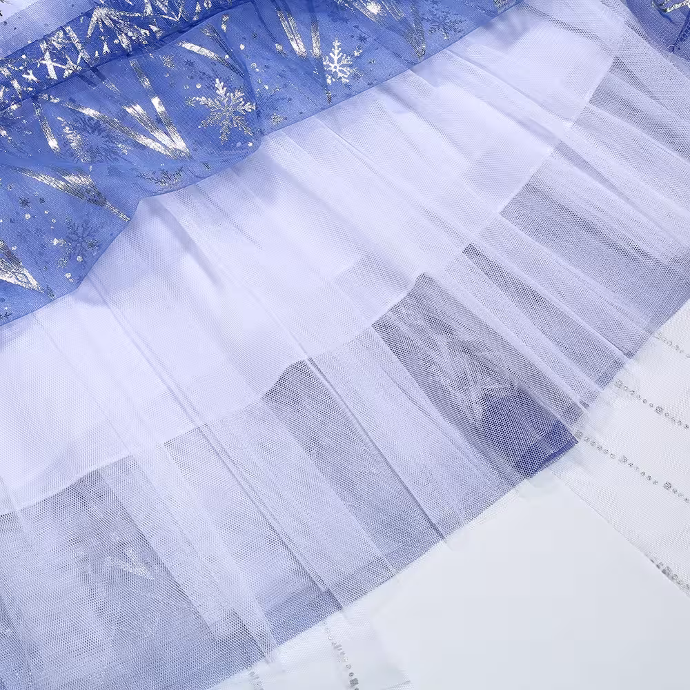 Robe de princesse Elsa